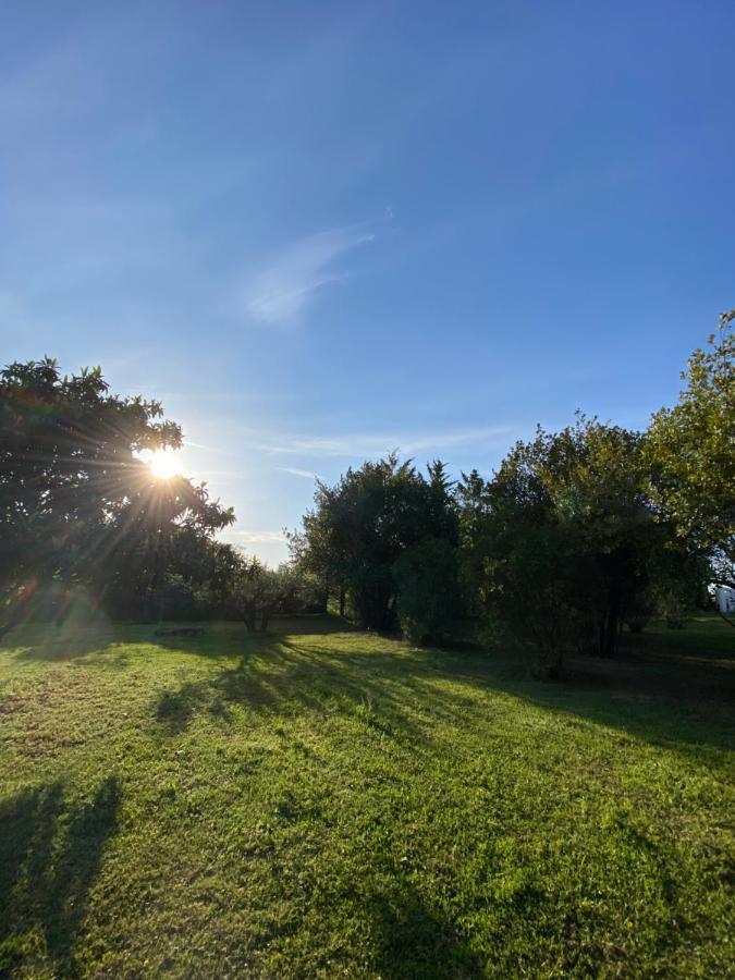 Studio Climatise Dans Un Ancien Domaine Viticole Montpellier Buitenkant foto