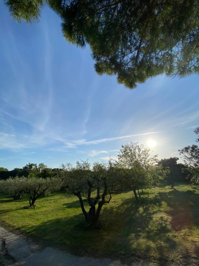 Studio Climatise Dans Un Ancien Domaine Viticole Montpellier Buitenkant foto